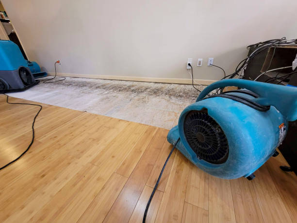 Professional Sewage Cleanup technician working in Gilbertsville, PA